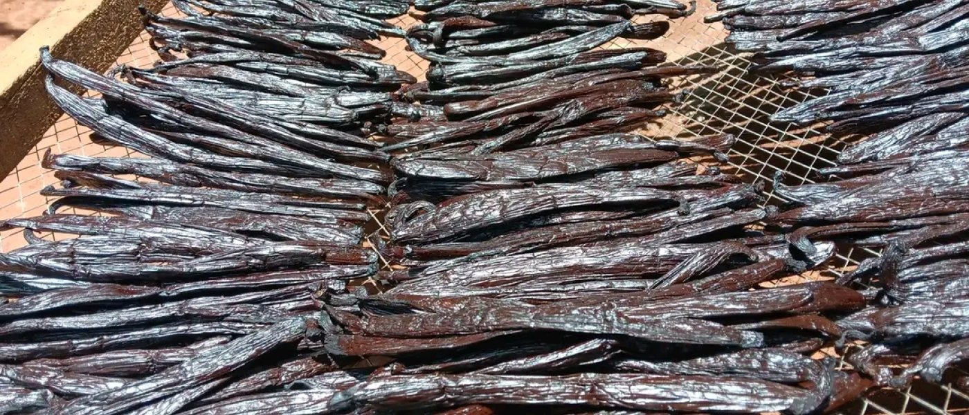 VANILLA BEANS