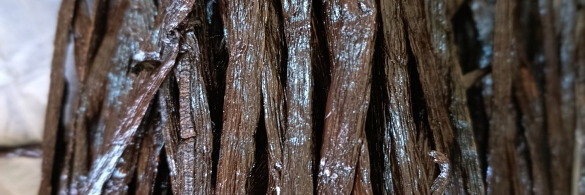 PRIDE VANILLA EXPORTS UG