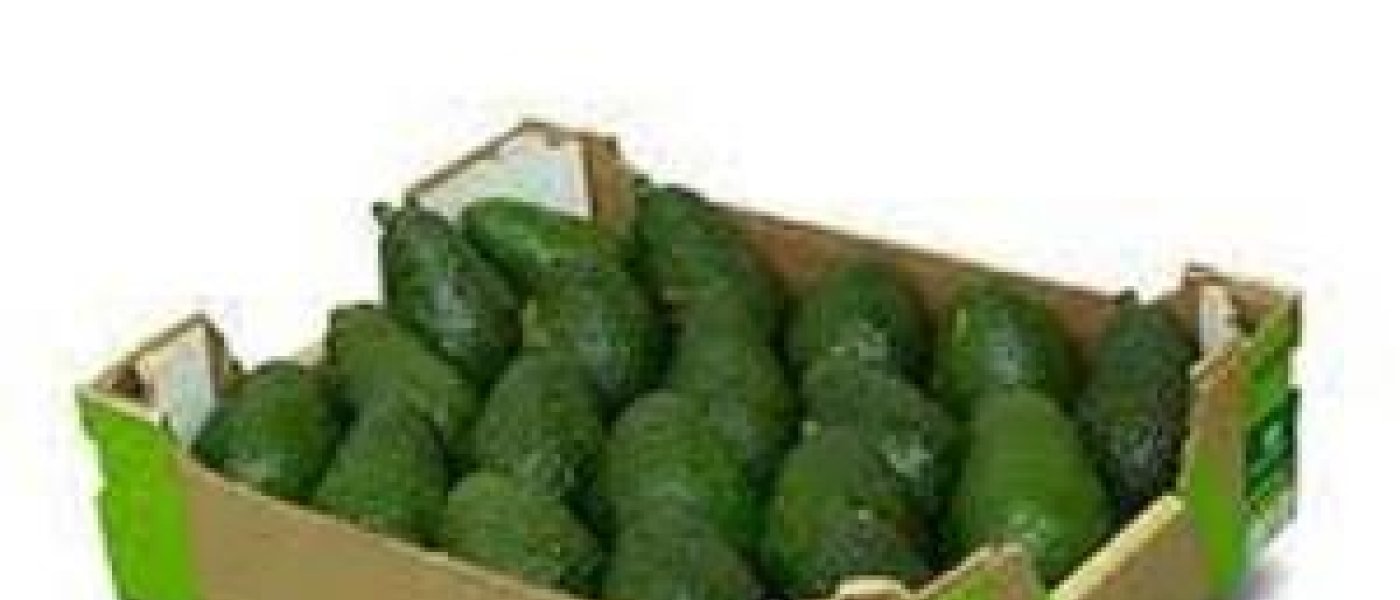 Buy Organic Avocado Hass