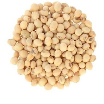 Buy Organic Soybeans