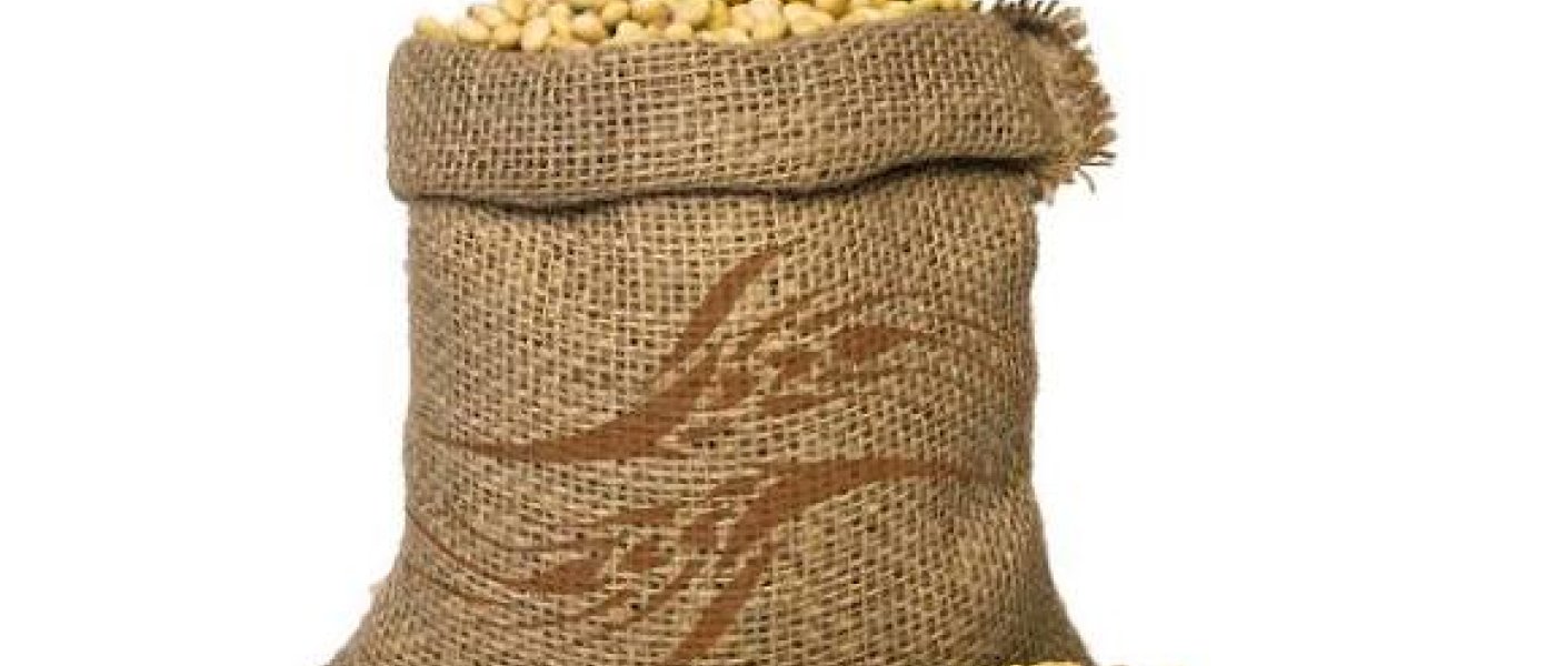 Buy Organic Soybeans