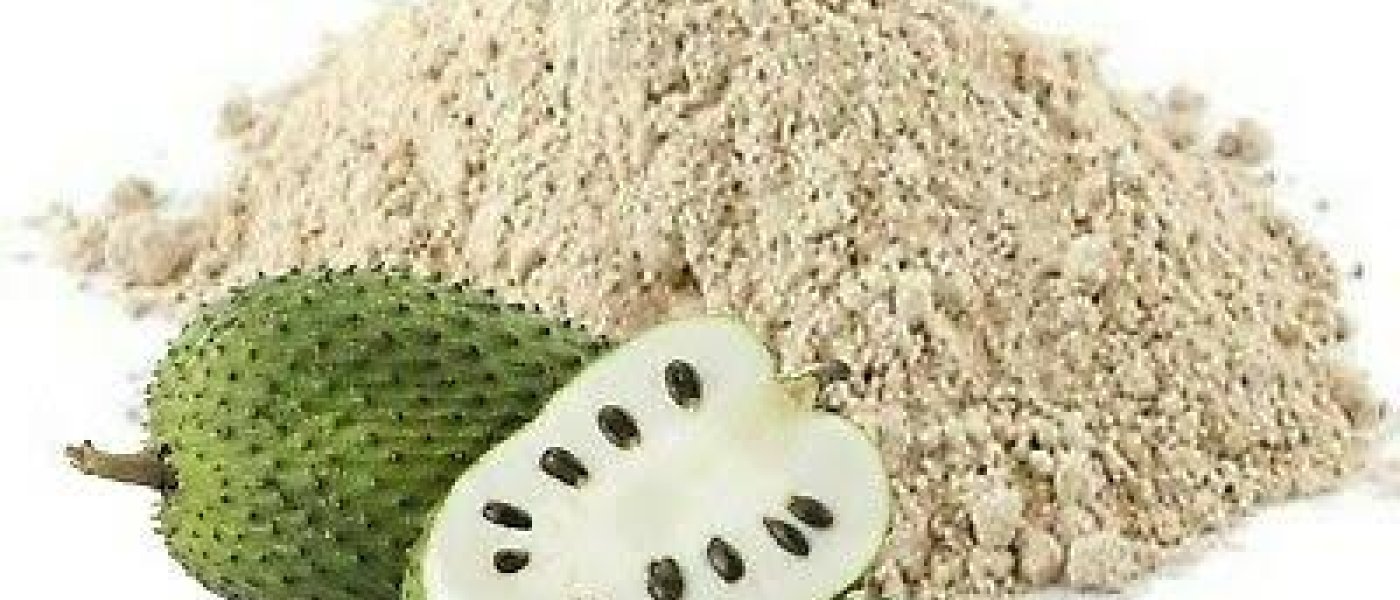 Buy Organic Graviola Soursop Fruits Powder Concentrated