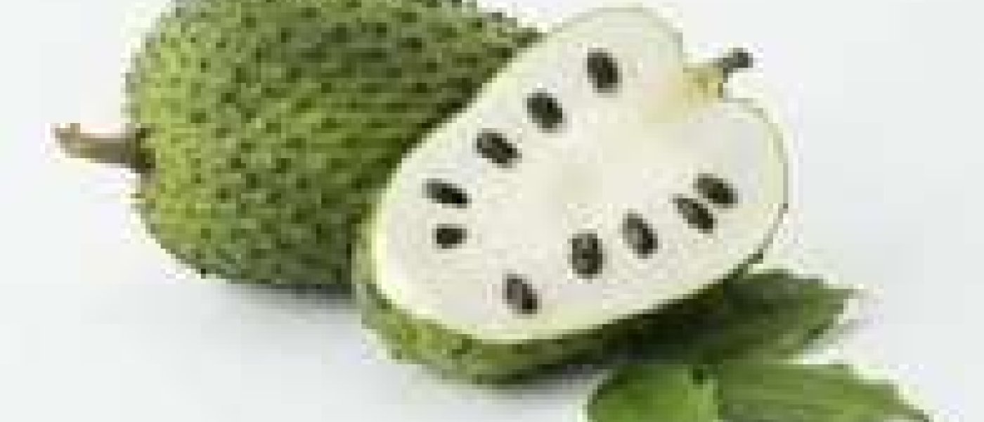 Buy Organic Graviola Soursop Fruits Powder Concentrated