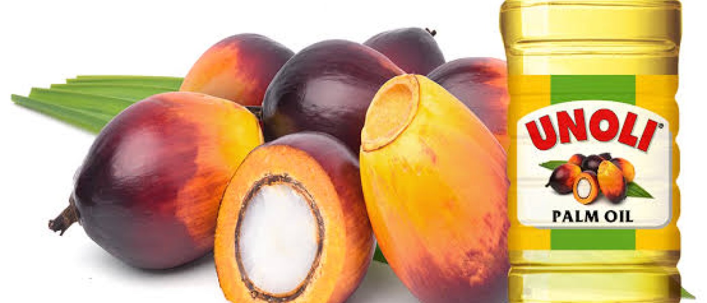 Buy Organic RBD Palm Oil