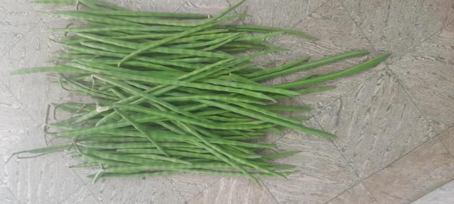 NGO Colony illupaiyurani