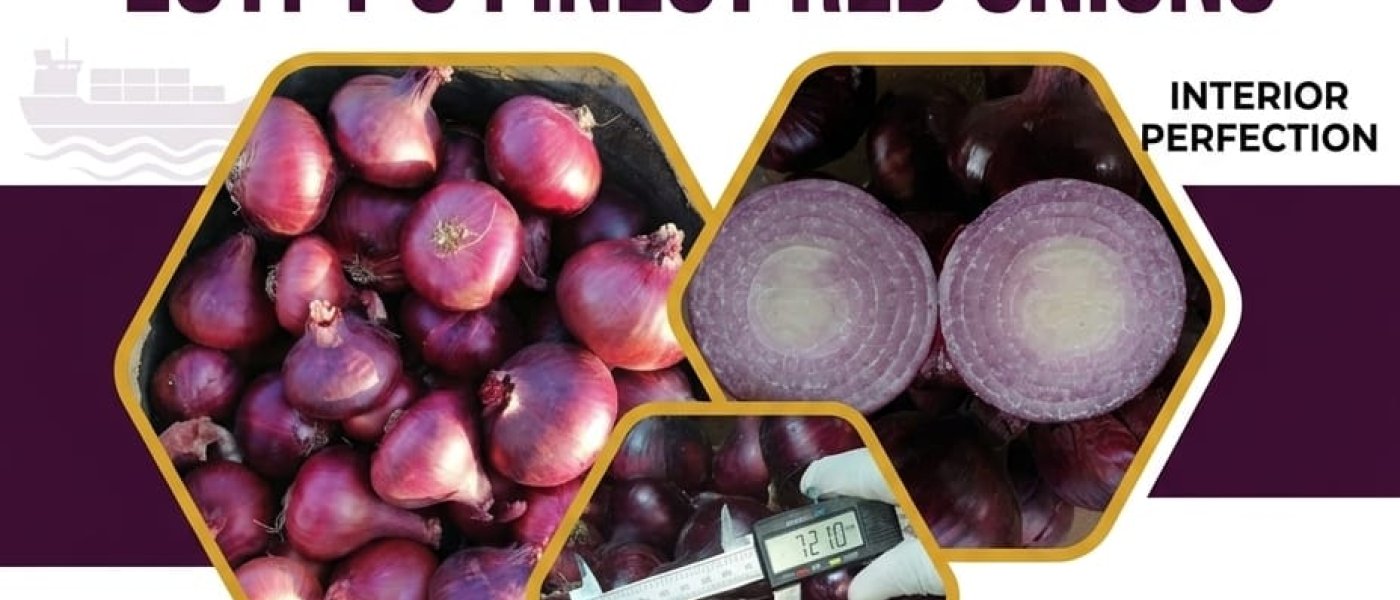 RED ONION
