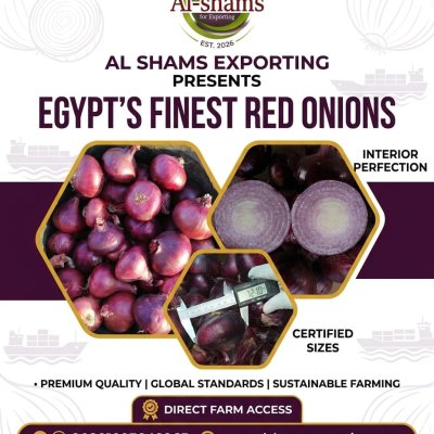 RED ONION