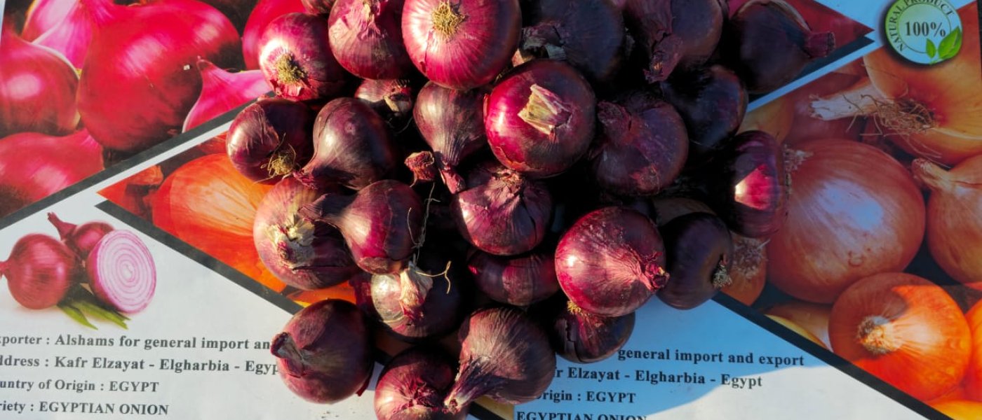 RED ONION