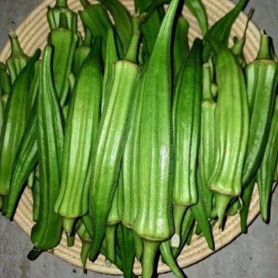 Fresh okra
