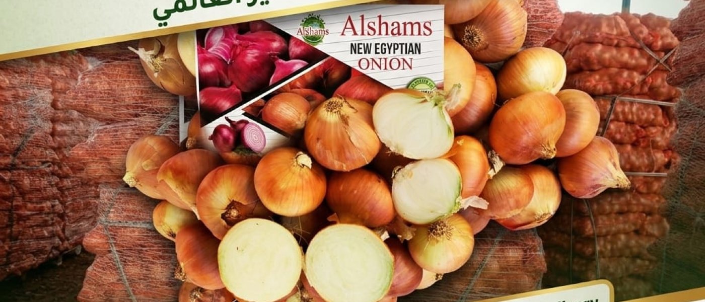 GOLDEN ONION