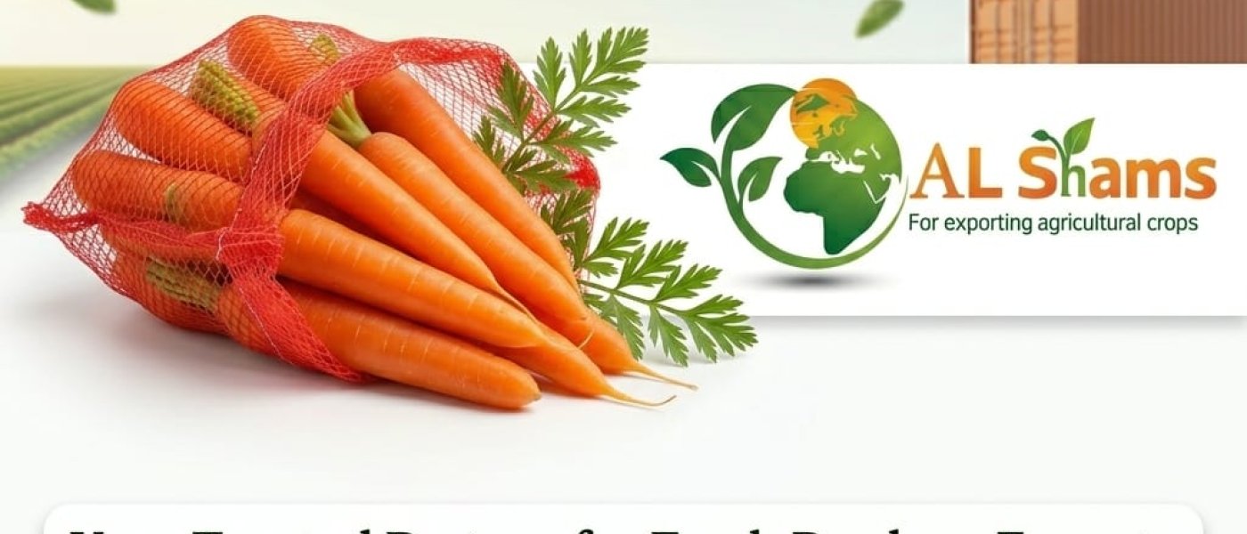 fresh carrots