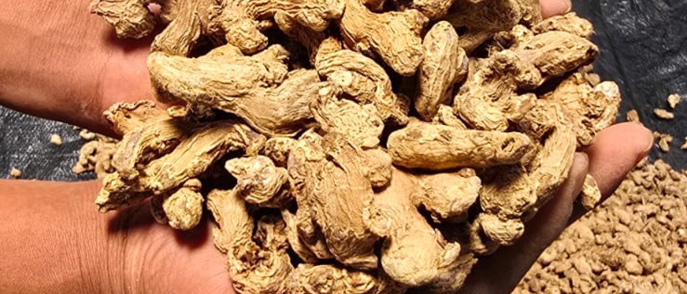 Ginger dry whole