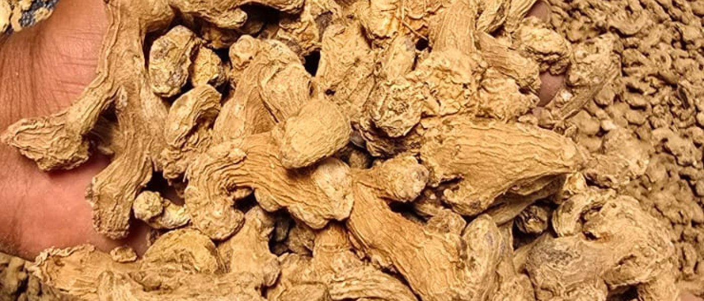 Ginger dry
