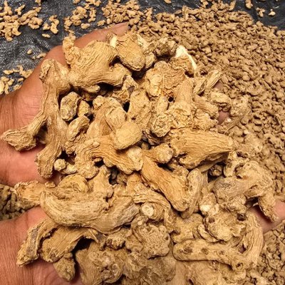 Ginger dry