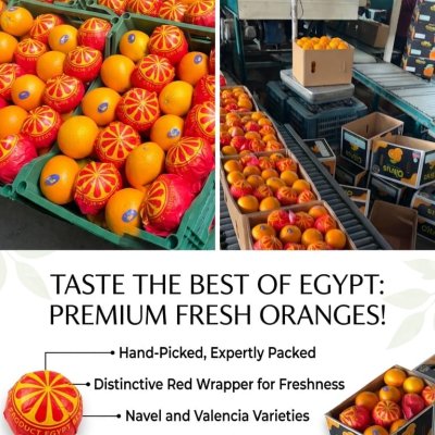 fresh orange