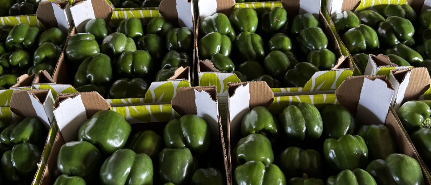 Green peppers