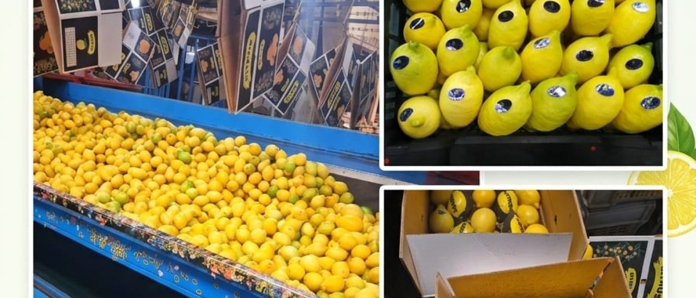 lemon