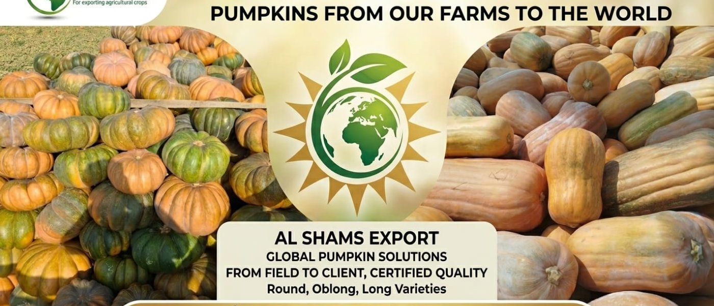 premium pumpkin