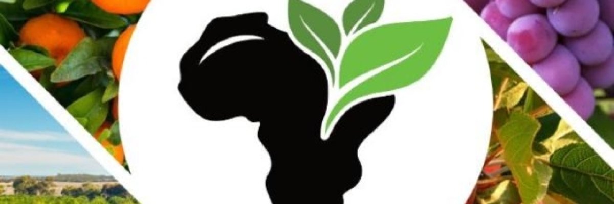 I Fresh Africa