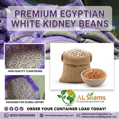 WHITE BEANS