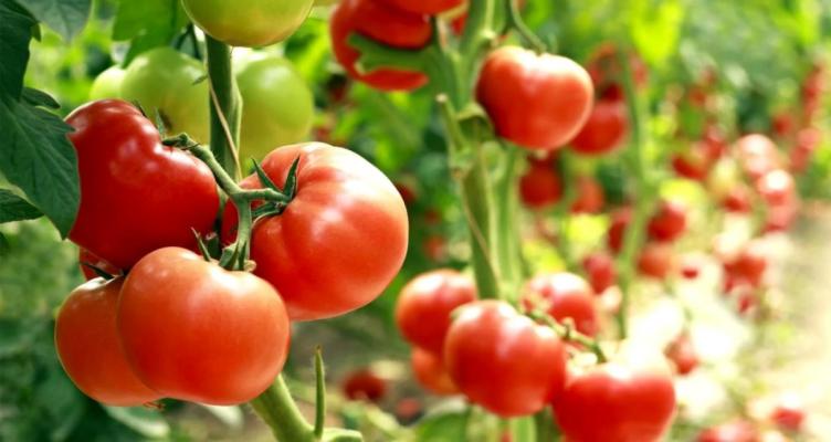 Prime time liquidation