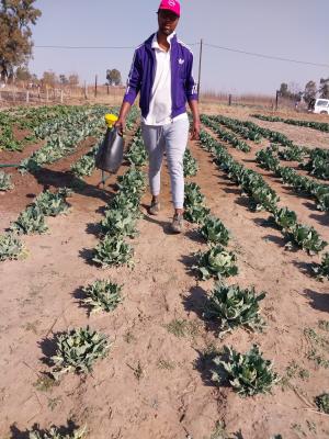 Ikhambi Farmstead (PTY) LTD