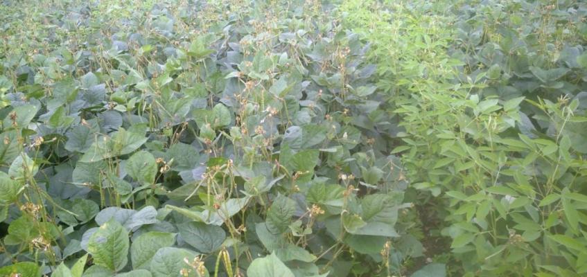 ATUL ENGINEERING SERVICES