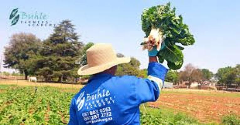 Buhle Farmers' Academy
