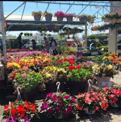 The Best vegetables and fruits shop