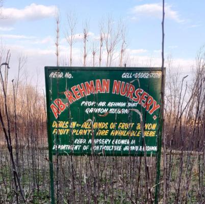 Rehman Nursery