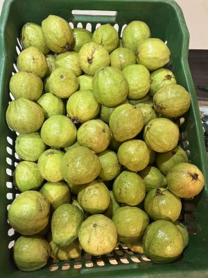 Parateâ€™s farm