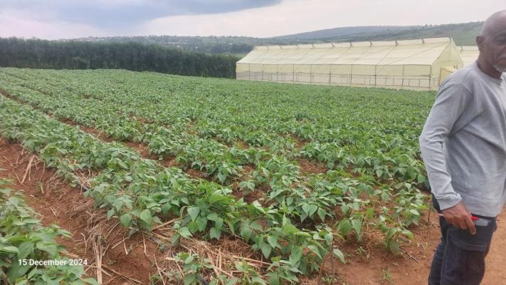 Nimaa Agriventures Ltd