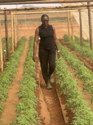 Nhlaluko Urban Farming