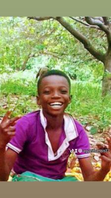 Francisco farms Enterprise