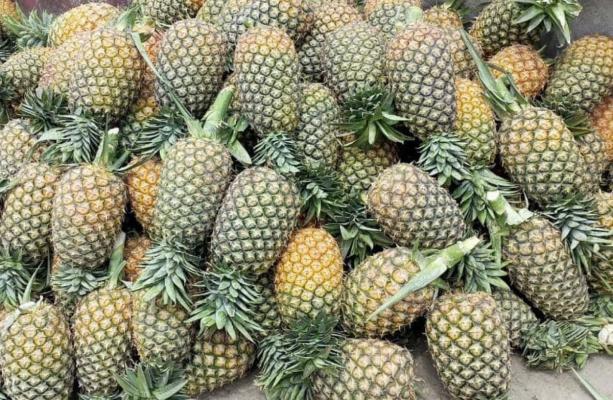 Advance Global Green Ltd