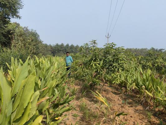 Vedanshiv organic farm